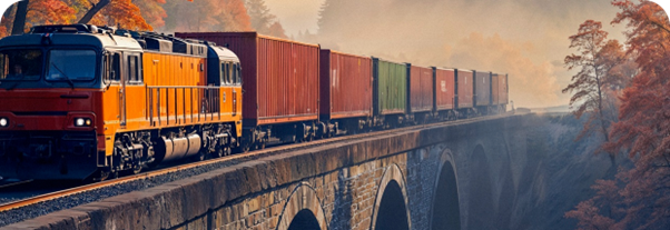 Express Train Service